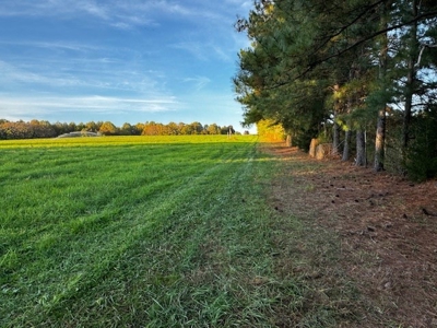 202 Acres of Serenity: Timber, Pond, and Prime Farmland - image 19