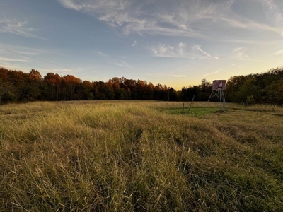202 Acres of Serenity: Timber, Pond, and Prime Farmland - image 4