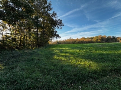 202 Acres of Serenity: Timber, Pond, and Prime Farmland - image 23