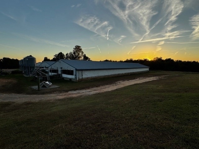 202 Acres of Serenity: Timber, Pond, and Prime Farmland - image 9