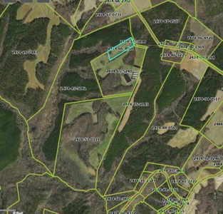 202 Acres of Serenity: Timber, Pond, and Prime Farmland - image 40