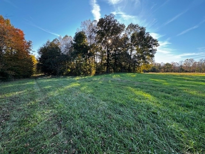 202 Acres of Serenity: Timber, Pond, and Prime Farmland - image 35