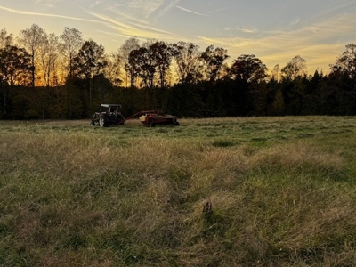 202 Acres of Serenity: Timber, Pond, and Prime Farmland - image 5