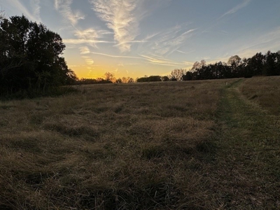 202 Acres of Serenity: Timber, Pond, and Prime Farmland - image 3