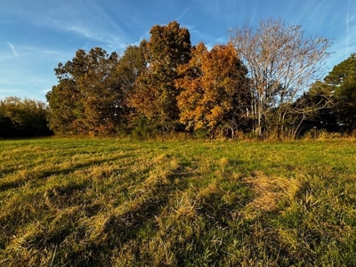202 Acres of Serenity: Timber, Pond, and Prime Farmland - image 18