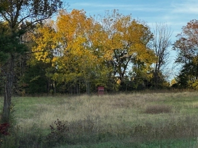 202 Acres of Serenity: Timber, Pond, and Prime Farmland - image 16