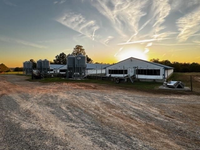 202 Acres of Serenity: Timber, Pond, and Prime Farmland - image 1