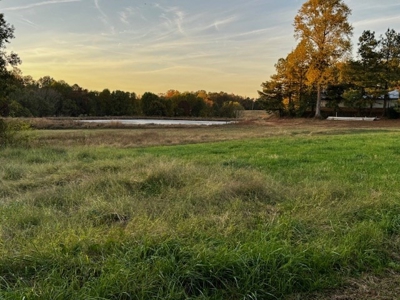 202 Acres of Serenity: Timber, Pond, and Prime Farmland - image 13