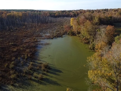 202 Acres of Serenity: Timber, Pond, and Prime Farmland - image 21
