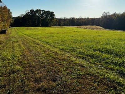 202 Acres of Serenity: Timber, Pond, and Prime Farmland - image 34