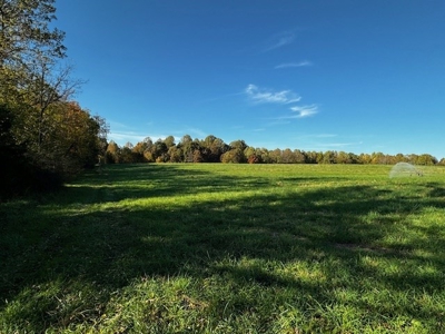 202 Acres of Serenity: Timber, Pond, and Prime Farmland - image 31