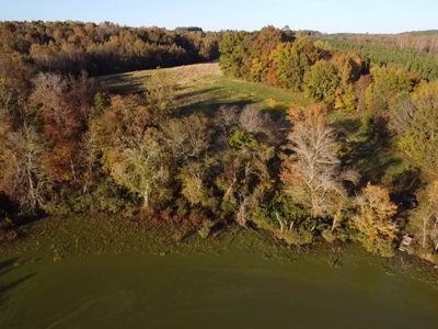 202 Acres of Serenity: Timber, Pond, and Prime Farmland - image 22