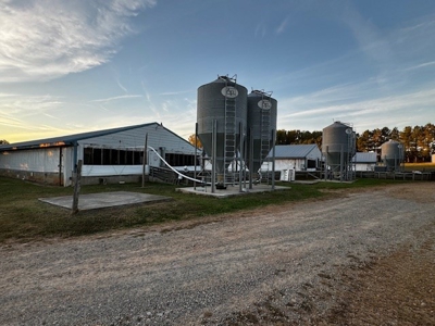 202 Acres of Serenity: Timber, Pond, and Prime Farmland - image 7