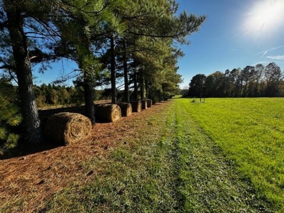 202 Acres of Serenity: Timber, Pond, and Prime Farmland - image 39