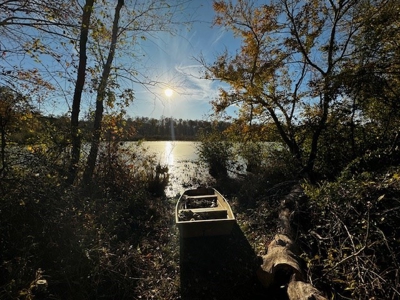 202 Acres of Serenity: Timber, Pond, and Prime Farmland - image 29