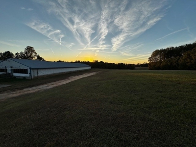 202 Acres of Serenity: Timber, Pond, and Prime Farmland - image 8
