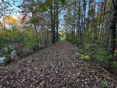 202 Acres of Serenity: Timber, Pond, and Prime Farmland - image 24