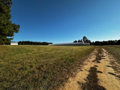 202 Acres of Serenity: Timber, Pond, and Prime Farmland - image 37