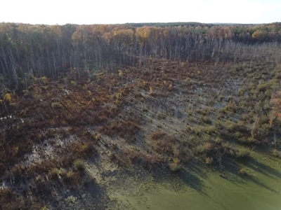 202 Acres of Serenity: Timber, Pond, and Prime Farmland - image 26