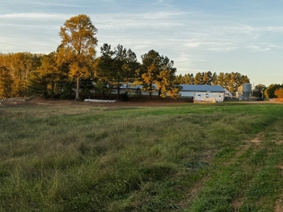 202 Acres of Serenity: Timber, Pond, and Prime Farmland - image 12