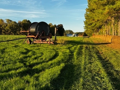 202 Acres of Serenity: Timber, Pond, and Prime Farmland - image 20