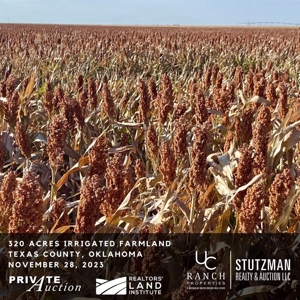 Private Auction ~ 320 Acres Irrigated ~ Texas County, OK - image 1