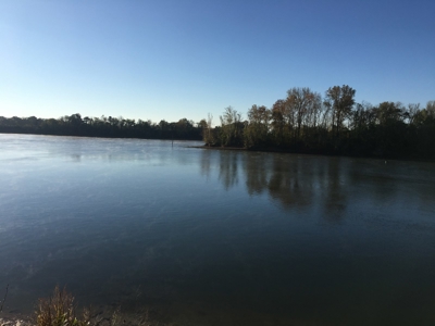 Tn Riverfront Land For Sale With Steps To Water - image 6