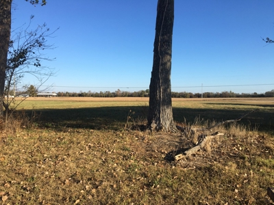 Tn Riverfront Land For Sale With Steps To Water - image 10