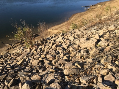 Tn Riverfront Land For Sale With Steps To Water - image 8