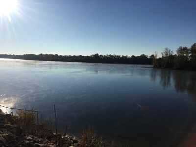 Tn Riverfront Land For Sale With Steps To Water - image 7