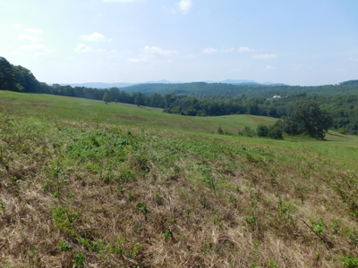 Newton County Pasture Hunting Land 361 Acres For Sale - image 13