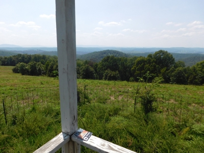 Newton County Pasture Hunting Land 361 Acres For Sale - image 7