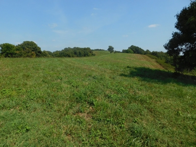 Newton County Pasture Hunting Land 361 Acres For Sale - image 10
