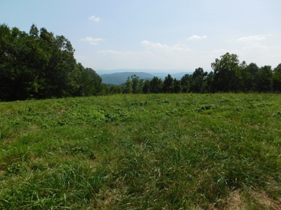 Newton County Pasture Hunting Land 361 Acres For Sale - image 5