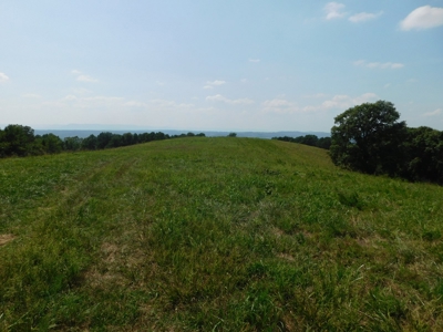 Newton County Pasture Hunting Land 361 Acres For Sale - image 4