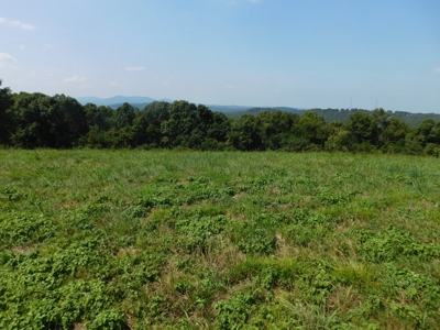 Newton County Pasture Hunting Land 361 Acres For Sale - image 3