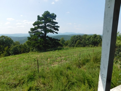 Newton County Pasture Hunting Land 361 Acres For Sale - image 8