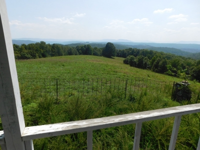 Newton County Pasture Hunting Land 361 Acres For Sale - image 6