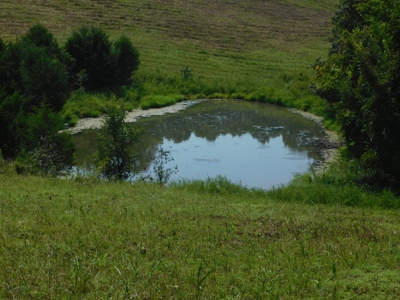 Newton County Pasture Hunting Land 361 Acres For Sale - image 12
