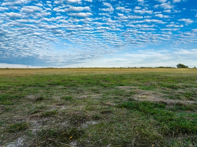 Pasture and Ranch Land For Sale in NE TX - image 2
