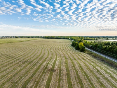 Pasture and Ranch Land For Sale in NE TX - image 17