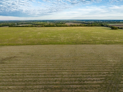 Pasture and Ranch Land For Sale in NE TX - image 3