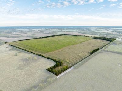 Pasture and Ranch Land For Sale in NE TX - image 9
