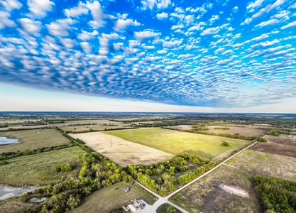 Pasture and Ranch Land For Sale in NE TX - image 1