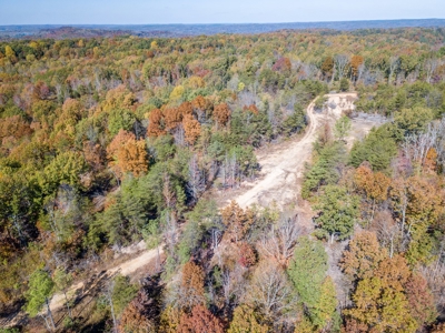 SOLD! TN Timber Land Wayne Co TN 255 Acres 2 CAVES! - image 6
