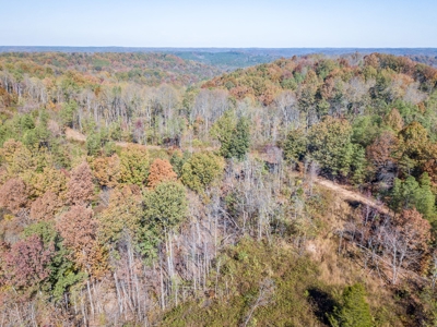 SOLD! TN Timber Land Wayne Co TN 255 Acres 2 CAVES! - image 18