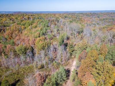 SOLD! TN Timber Land Wayne Co TN 255 Acres 2 CAVES! - image 19
