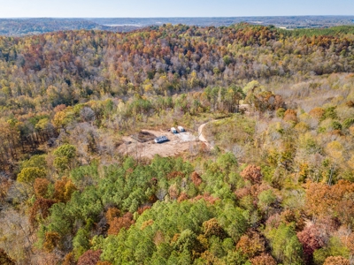 SOLD! TN Timber Land Wayne Co TN 255 Acres 2 CAVES! - image 1