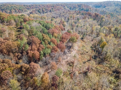 SOLD! TN Timber Land Wayne Co TN 255 Acres 2 CAVES! - image 8