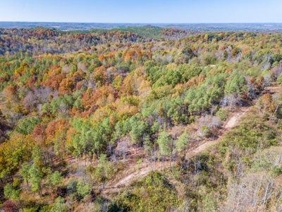 SOLD! TN Timber Land Wayne Co TN 255 Acres 2 CAVES! - image 21